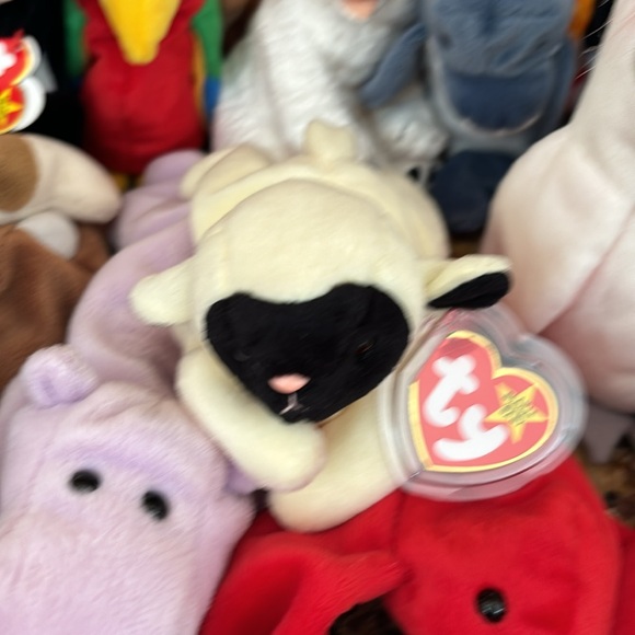 Beanie babies - Picture 8 of 8